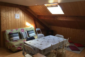 Nice 55m near the lake of Gérardmer !